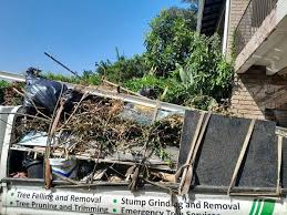 Best Attic Cleanout  in Jacksboro, TN