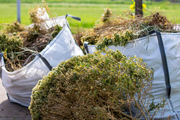 Best Yard Waste Removal  in Jacksboro, TN